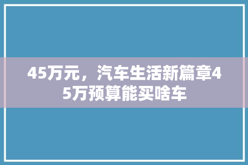45万元，汽车生活新篇章45万预算能买啥车