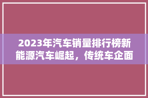 2023年汽车销量排行榜新能源汽车崛起，传统车企面临挑战