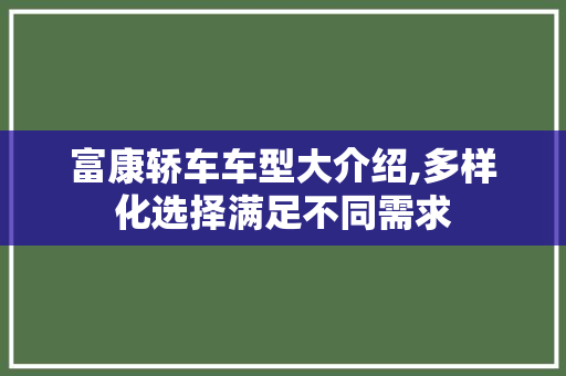 富康轿车车型大介绍,多样化选择满足不同需求