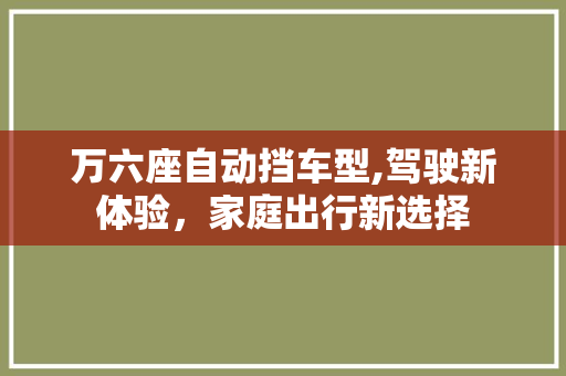 万六座自动挡车型,驾驶新体验，家庭出行新选择