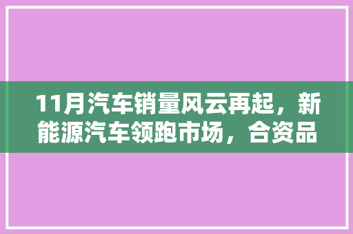 11月汽车销量风云再起，新能源汽车领跑市场，合资品牌竞争激烈