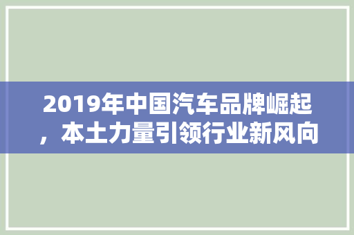 2019年中国汽车品牌崛起，本土力量引领行业新风向