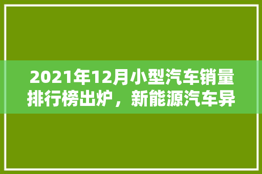 2021年12月小型汽车销量排行榜出炉，新能源汽车异军突起