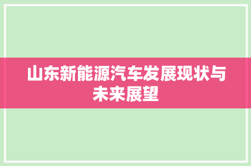 山东新能源汽车发展现状与未来展望