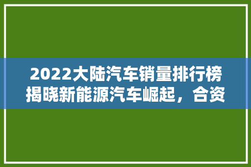 2022大陆汽车销量排行榜揭晓新能源汽车崛起，合资品牌持续发力