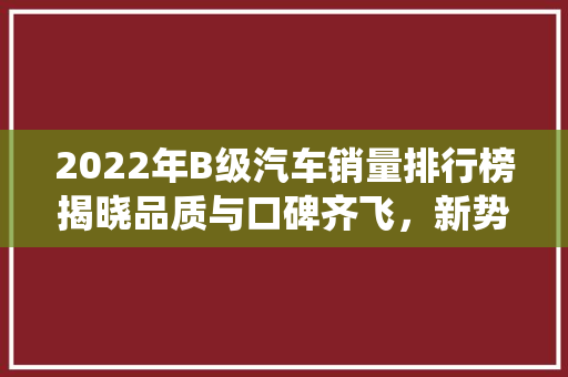 2022年B级汽车销量排行榜揭晓品质与口碑齐飞，新势力与传统品牌共舞