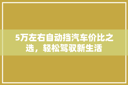 5万左右自动挡汽车价比之选，轻松驾驭新生活