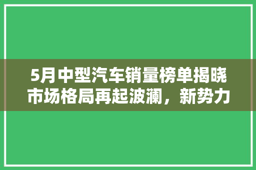 5月中型汽车销量榜单揭晓市场格局再起波澜，新势力崛起引关注