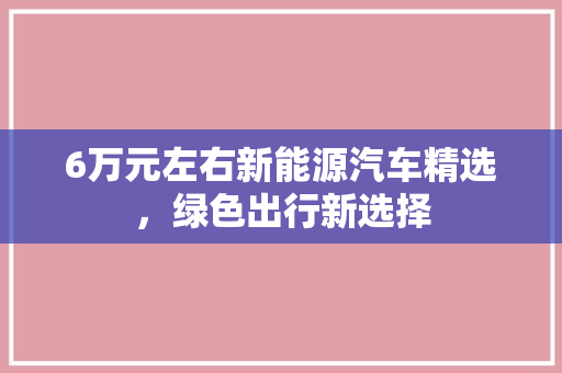 6万元左右新能源汽车精选，绿色出行新选择