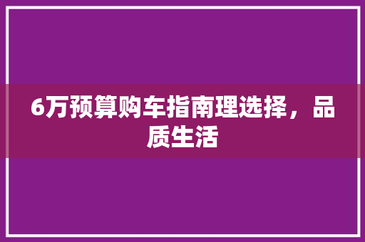 6万预算购车指南理选择，品质生活