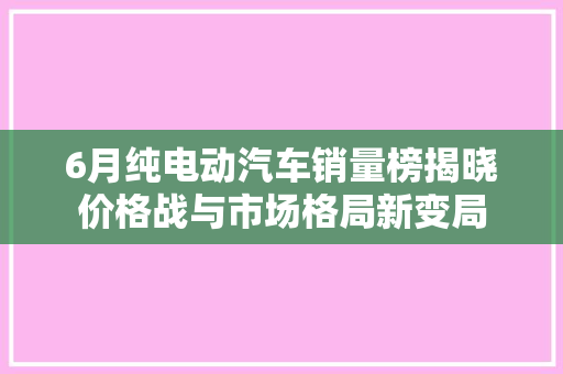 6月纯电动汽车销量榜揭晓价格战与市场格局新变局