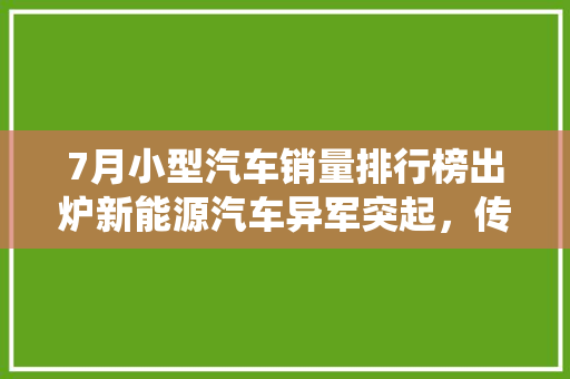 7月小型汽车销量排行榜出炉新能源汽车异军突起，传统车企面临挑战