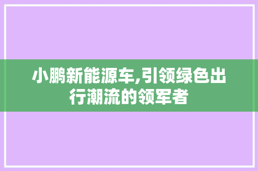 小鹏新能源车,引领绿色出行潮流的领军者