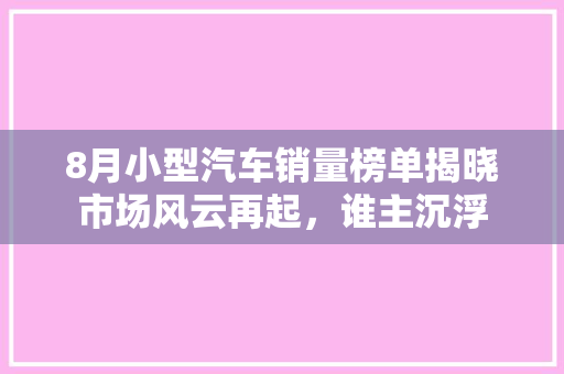 8月小型汽车销量榜单揭晓市场风云再起，谁主沉浮