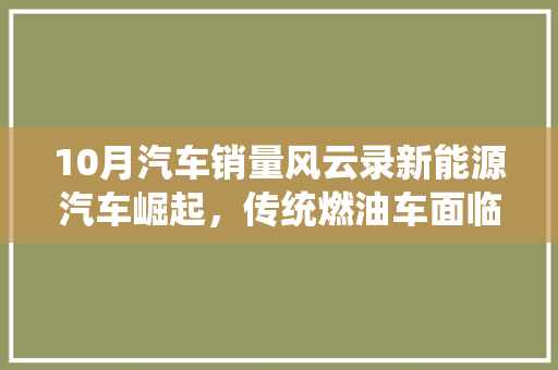10月汽车销量风云录新能源汽车崛起，传统燃油车面临挑战