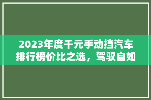 2023年度千元手动挡汽车排行榜价比之选，驾驭自如