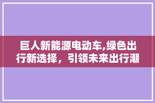 巨人新能源电动车,绿色出行新选择，引领未来出行潮流