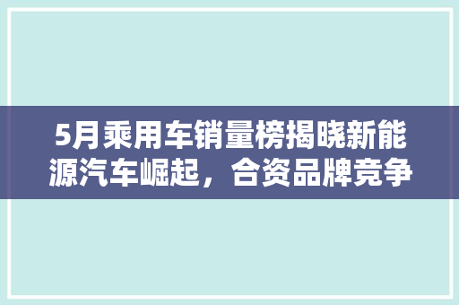 5月乘用车销量榜揭晓新能源汽车崛起，合资品牌竞争激烈