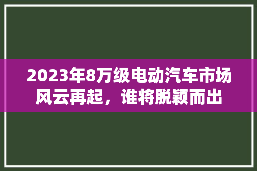 2023年8万级电动汽车市场风云再起，谁将脱颖而出