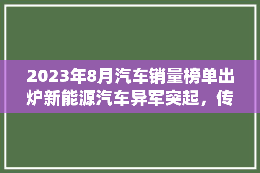 2023年8月汽车销量榜单出炉新能源汽车异军突起，传统燃油车面临挑战