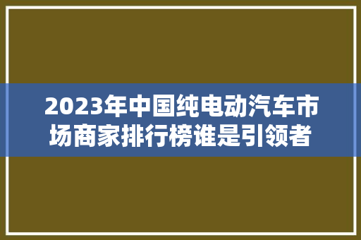 2023年中国纯电动汽车市场商家排行榜谁是引领者