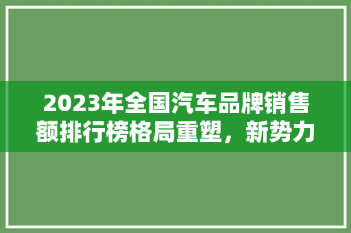 2023年全国汽车品牌销售额排行榜格局重塑，新势力崛起