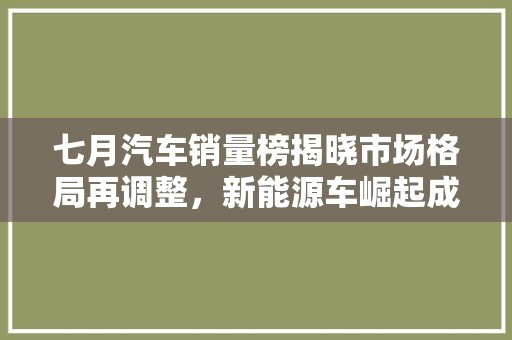 七月汽车销量榜揭晓市场格局再调整，新能源车崛起成新趋势