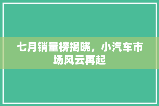 七月销量榜揭晓，小汽车市场风云再起