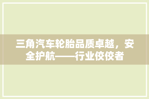 三角汽车轮胎品质卓越，安全护航——行业佼佼者