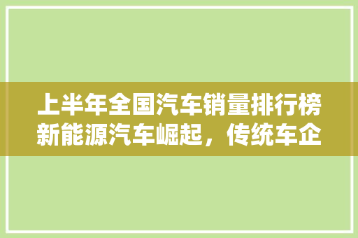 上半年全国汽车销量排行榜新能源汽车崛起，传统车企转型挑战