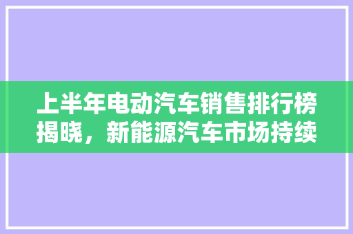 上半年电动汽车销售排行榜揭晓，新能源汽车市场持续火热