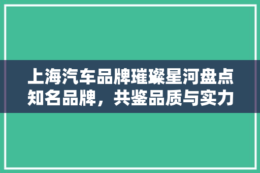 上海汽车品牌璀璨星河盘点知名品牌，共鉴品质与实力