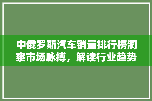 中俄罗斯汽车销量排行榜洞察市场脉搏，解读行业趋势