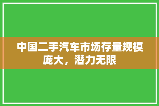 中国二手汽车市场存量规模庞大，潜力无限
