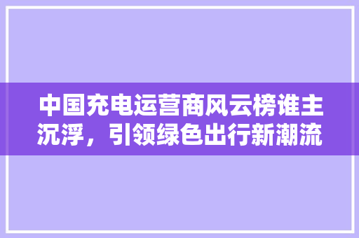 中国充电运营商风云榜谁主沉浮，引领绿色出行新潮流