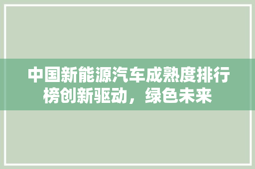 中国新能源汽车成熟度排行榜创新驱动，绿色未来