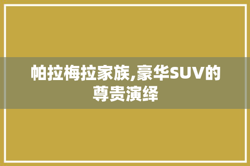 帕拉梅拉家族,豪华SUV的尊贵演绎