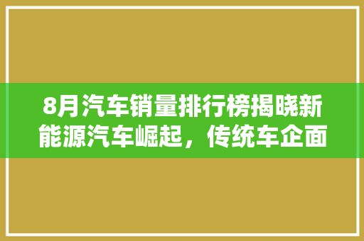 8月汽车销量排行榜揭晓新能源汽车崛起，传统车企面临挑战