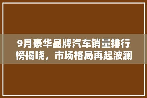 9月豪华品牌汽车销量排行榜揭晓，市场格局再起波澜