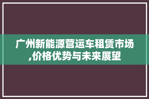 广州新能源营运车租赁市场,价格优势与未来展望
