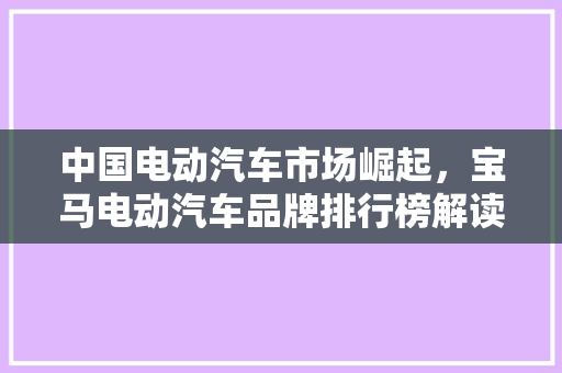 中国电动汽车市场崛起，宝马电动汽车品牌排行榜解读