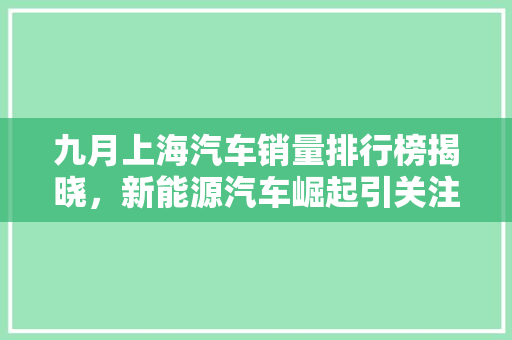 九月上海汽车销量排行榜揭晓，新能源汽车崛起引关注