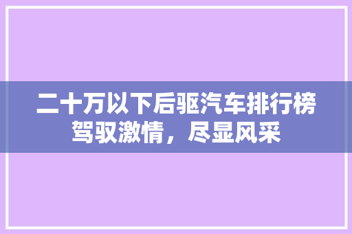 二十万以下后驱汽车排行榜驾驭激情，尽显风采