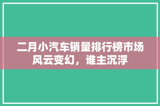 二月小汽车销量排行榜市场风云变幻，谁主沉浮