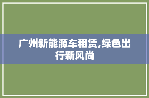 广州新能源车租赁,绿色出行新风尚