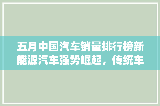 五月中国汽车销量排行榜新能源汽车强势崛起，传统车企转型加速