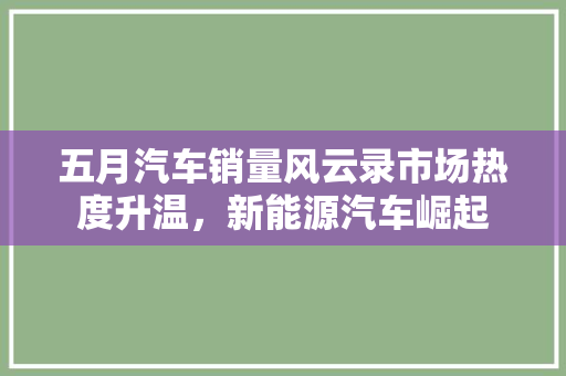 五月汽车销量风云录市场热度升温，新能源汽车崛起