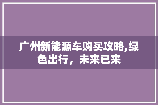 广州新能源车购买攻略,绿色出行，未来已来