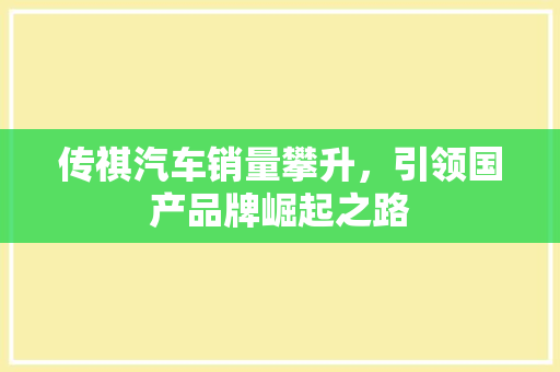 传祺汽车销量攀升，引领国产品牌崛起之路