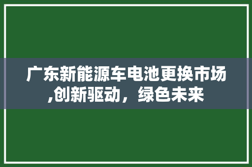 广东新能源车电池更换市场,创新驱动，绿色未来